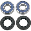 Moose Racing Wheel Bearing Kit - Double Lip | 25-1104
