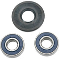 Moose Racing Wheel Bearing Kit - Double Lip | 25-1119