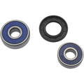 Moose Racing Wheel Bearing Kit - Double Lip | 25-1191