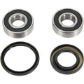 Pivot Works Wheel Bearing and Seal Kit - Double Seal - Front | PWFWS-H05-000