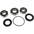 Pivot Works Wheel Bearing and Seal Kit - Double Seal - Rear | PWRWS-K14-000