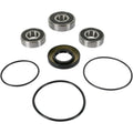 Pivot Works Wheel Bearing and Seal Kit - Double Seal - Rear | PWRWS-Y11-000
