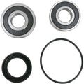 Pivot Works Wheel Bearing and Seal Kit - Double Seal - Rear | PWRWS-H70-000