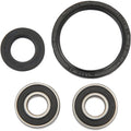 Pivot Works Wheel Bearing and Seal Kit - Double Seal - Front | PWFWK-K06-020