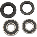 Pivot Works Wheel Bearing and Seal Kit - Double Seal - Rear | PWRWK-H18-008