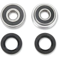 Pivot Works Wheel Bearing and Seal Kit - Double Seal - Rear | PWRWK-H20-006