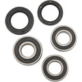 Pivot Works Wheel Bearing and Seal Kit - Double Seal - Rear | PWRWK-S17-400