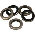 James Gasket Starter Oil Seal Big Twin - 5 Pack | 12043-A