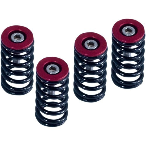 Barnett Clutch Springs - Red - Ducati | 519-25-06098