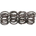 Kibblewhite Valve Springs 66-84 Shovelhead | 20-2000