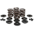 Kibblewhite Valve Spring Kit - Big Twin | 20-20425