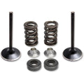 Kibblewhite Valve Spring Kit | 80-81100