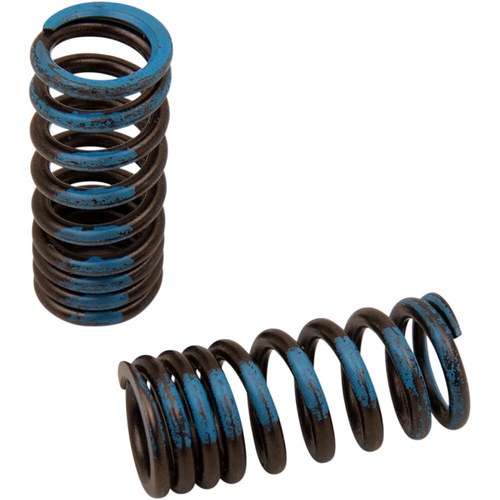 Xceldyne Intake Valve Springs | PSIMX2006