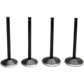 Kibblewhite Valve Kit - Evolution | 20-22600