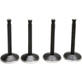 Kibblewhite Valve Kit - Panhead | 20-22100