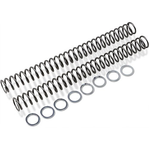 Race Tech Fork Springs - 0.48 kg/mm | Frsp 454748