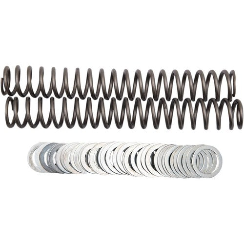 Race Tech Fork Springs - 0.95 kg/mm | Frsp S3827095
