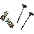 Prox Valve and Spring Kit | 28.SES2402-1