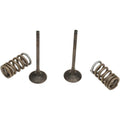 Prox Valve and Spring Kit | 28.SES3338-1