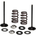 Kibblewhite Spring Kit - Intake Only | 96-96540