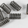 Ebc Csk Clutch Spring Kit | CSK31