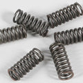 Ebc Csk Clutch Spring Kit | CSK33