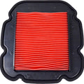 Emgo Air Filter | 12-93862
