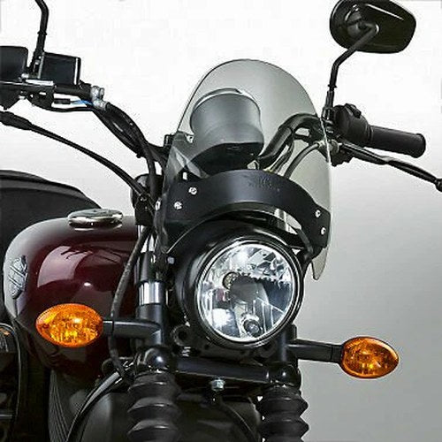 National Cycle Flyscreen with Black Hardware, Light Tint | N2530-002