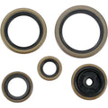 Moose Racing Engine Oil Seal Kit (0935-0036)