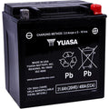 Yuasa Factory-Activated Maintenance-Free Agm Battery (YIX30L) YUAM7230L
