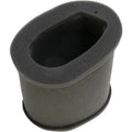 Hiflofiltro Replacement Air Filter | HFA2202