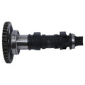 Hot Cams Stage 1 Camshaft | HC00053
