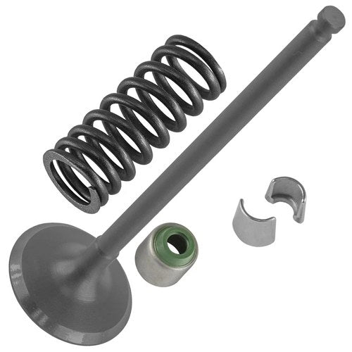 Caltric Intake Valve Kit for Yamaha YZ250F 2002 2003 2004 2005 2006 2007-2009