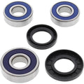 All Balls Wheel Bearing Kit - Double Seal - Rear | 25-1257