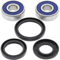 All Balls Wheel Bearing Kit - Double Seal - Front | 25-1310