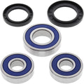 All Balls Wheel Bearing Kit - Double Seal - Rear | 25-1286