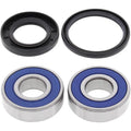 All Balls Wheel Bearing Kit - Double Seal - Front/Rear | 25-1380