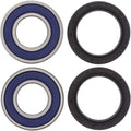 All Balls Wheel Bearing Kit - Double Seal - Front | 25-1389