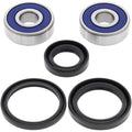 All Balls Wheel Bearing Kit - Double Seal - Front | 25-1307