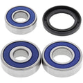 All Balls Wheel Bearing Kit - Double Seal - Rear - Honda | 25-1087
