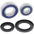 All Balls Wheel Bearing Kit - Double Seal - Rear | 25-1282