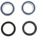 All Balls Wheel Bearing Kit - Double Seal - Front - KTM | 25-1402-A