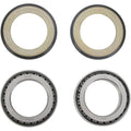 All Balls Steering Stem Bearing/Seal Kit | 22-1039