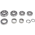 Hot Rods Transmission Bearing Kit | TBK0114