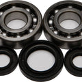 All Balls Crankshaft Bearing/Seal Kit | 24-1028