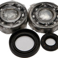 All Balls Crankshaft Bearing/Seal Kit | 24-1030
