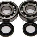 All Balls Crankshaft Bearing/Seal Kit | 24-1045