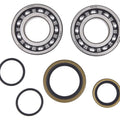 All Balls Crankshaft Bearing/Seal Kit | 24-1128