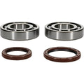 All Balls Crankshaft Bearing/Seal Kit | 24-1123