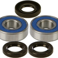 All Balls Front Wheel Bearing/Seal Kit | 25-1219